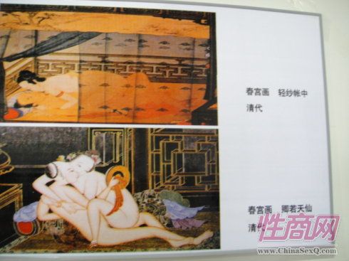 2009第二届郑州性文化节现场图片报道图片11