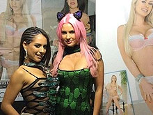 2014�Ĵ�����Ϥ�����չSexpo��������ͼ��