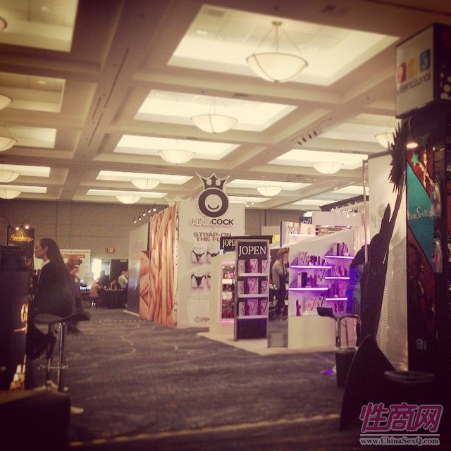 2015冬季洛杉矶成人展ANMEShow现场报道图片19