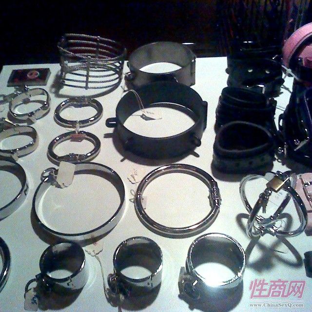 2015美国拉斯维加斯成人展图片报道(1)图片9