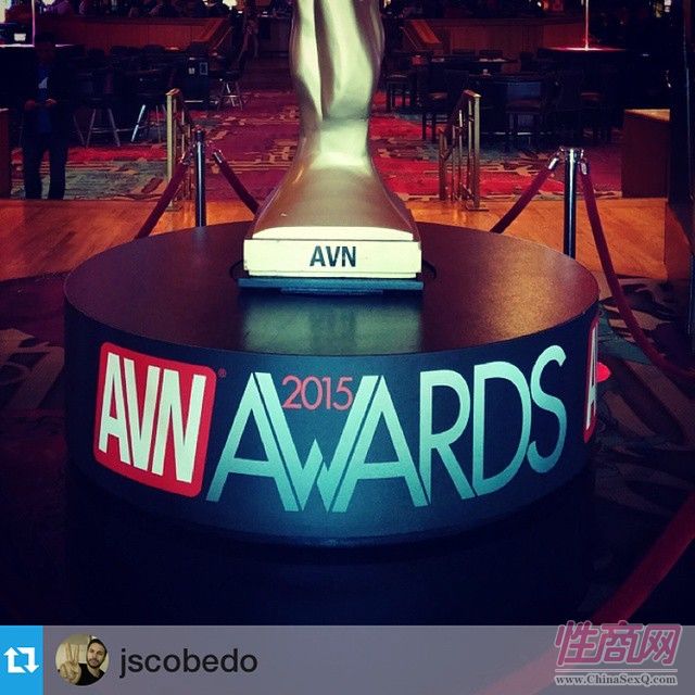 2015美国拉斯维加斯成人展图片报道(1)图片12