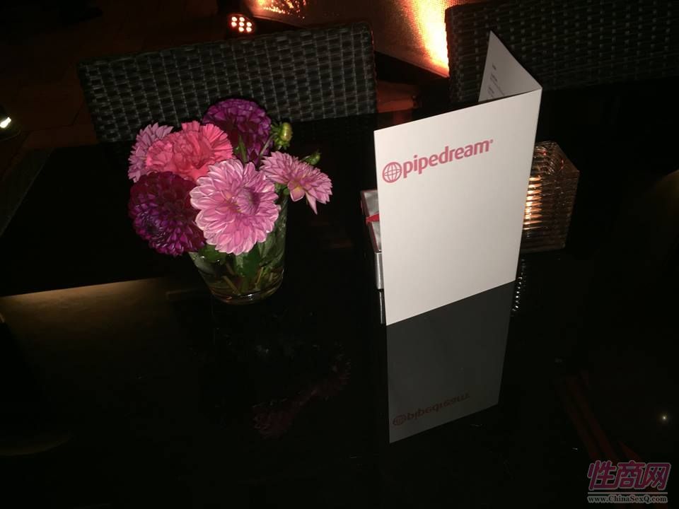 2015德国汉诺威成人展Erofame-之夜酒会图片19