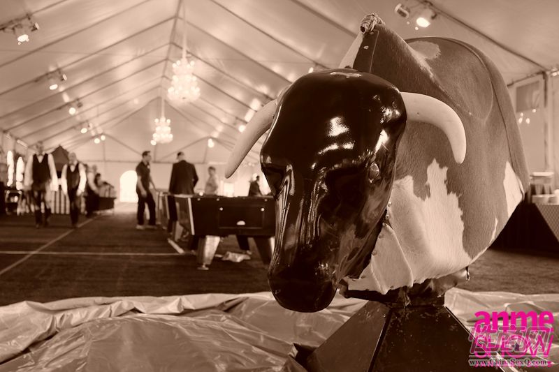 2015冬季洛杉矶成人展ANMEShow报道(四)图片6