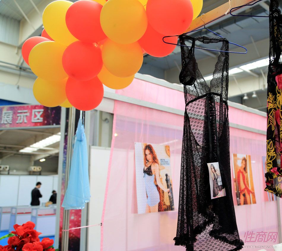 2014首届吉林长春成人展现场图片报道图片11