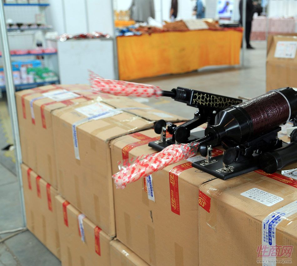 2014首届吉林长春成人展现场图片报道图片18