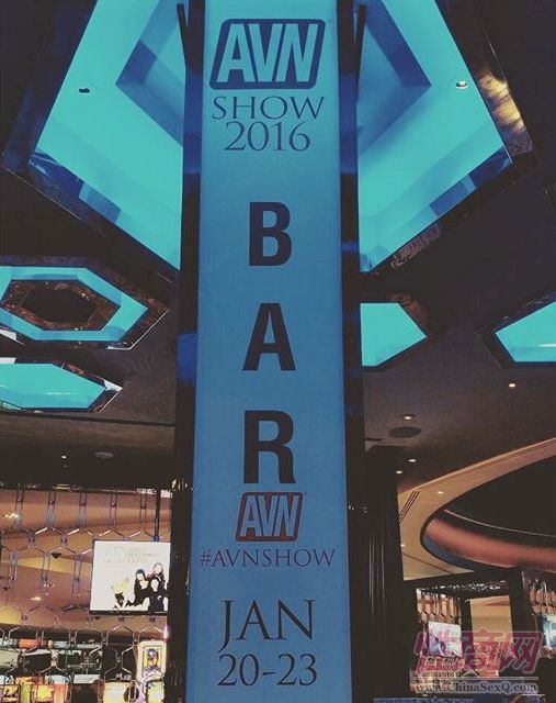 2016美国拉斯维加斯成人展AVN拉开帷幕图片40