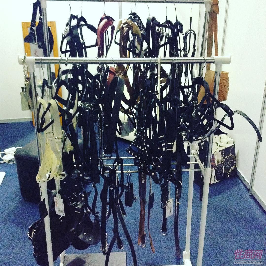 2016南非约翰内斯堡成人展SEXPO参展企业图片28