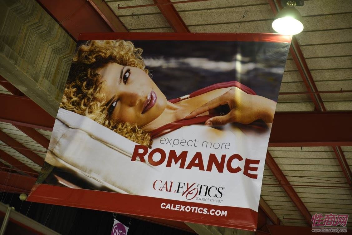 2016南非约翰内斯堡成人展SEXPO展会现场图片5