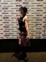 2016�Ĵ�����ī��������չsexpo����Ӱ��ͼƬ36