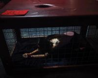 2016�Ĵ�����ī��������չsexpo��չ��ҵͼƬ41