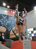 ��ӣ��������HOTչ̨