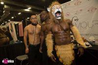 2016����eXXXotica����������չ�������ͼƬ5