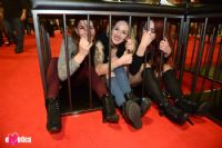 2016����eXXXotica����������չչ���ֳ�ͼƬ40