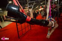 2016����eXXXotica����������չ���ʱ���1ͼƬ36
