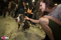 2016����eXXXotica����������չ��չ����(2)ͼƬ31