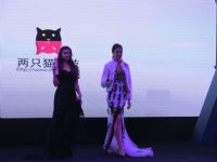 2016�����ų���չ(ɫ�˲�����)��չ��ҵͼƬ25