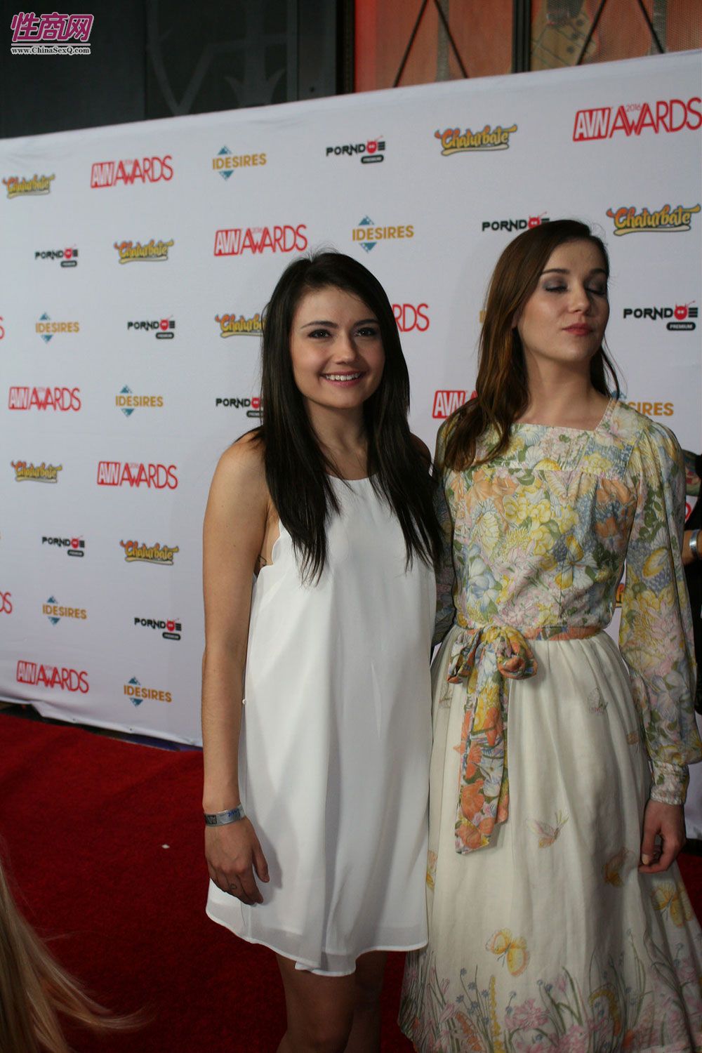 2016拉斯维加斯成人展AVN大奖红毯秀(5)图片39