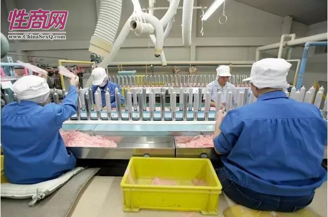 �ձ�Sagami��ģ��ȫ�׶�����������̽��