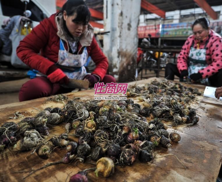 ֲ��ΰ���꿨����ۣ��Ͱײ˼۸���