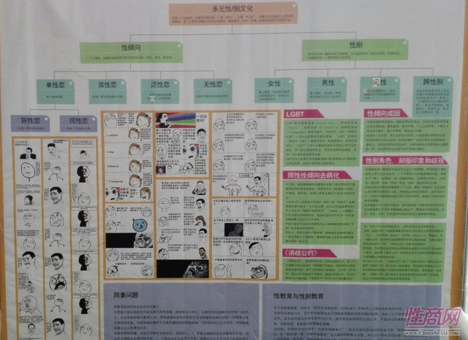 2016西安性博会现场报道——性多元论坛图片23