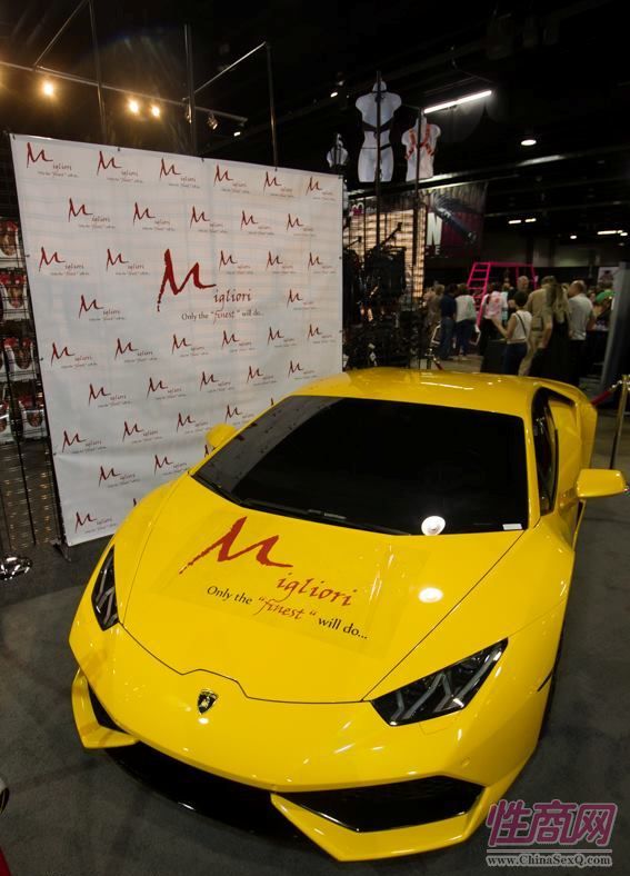 2016美国芝加哥成人展eXXXotica展会现场1图片45