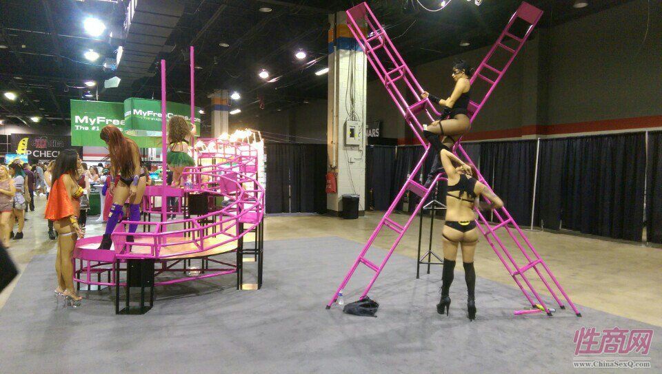 2016美国芝加哥成人展eXXXotica展会现场1图片71