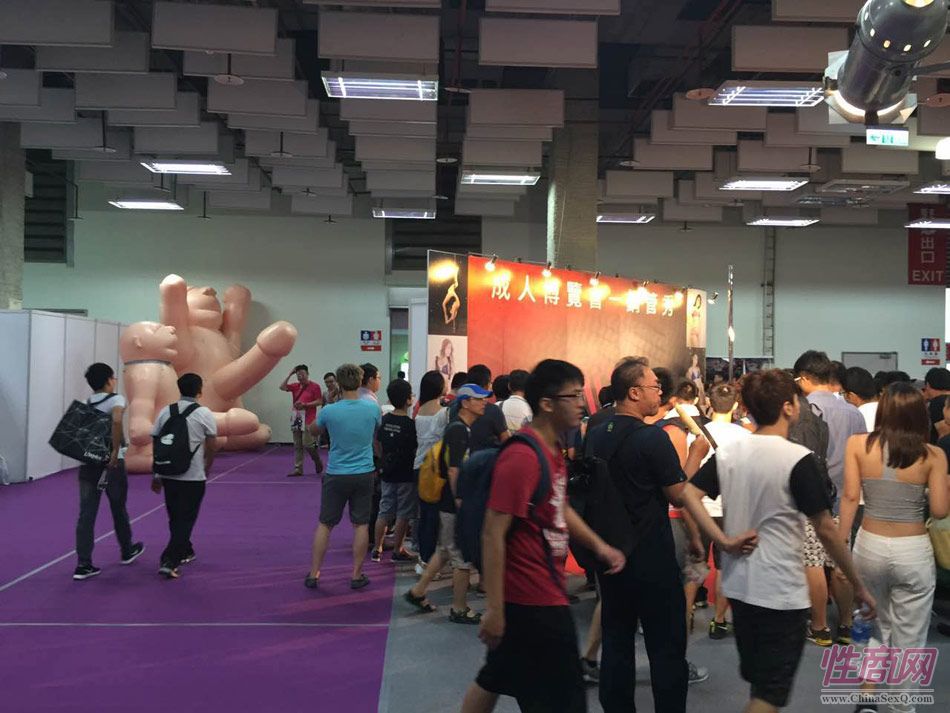 2016第五届台湾成人博览在台北世贸举行图片24