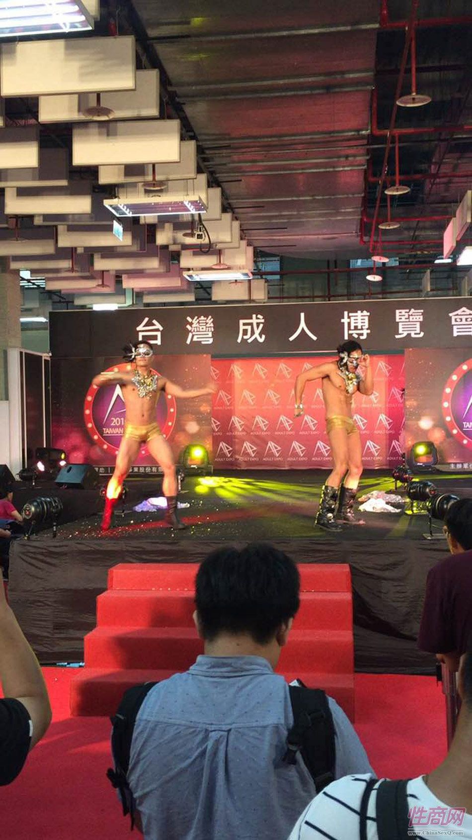 2016第五届台湾成人博览在台北世贸举行图片31