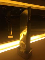 2017����XBIZ�佱������ȤƷ�ƻ�����ͼƬ17