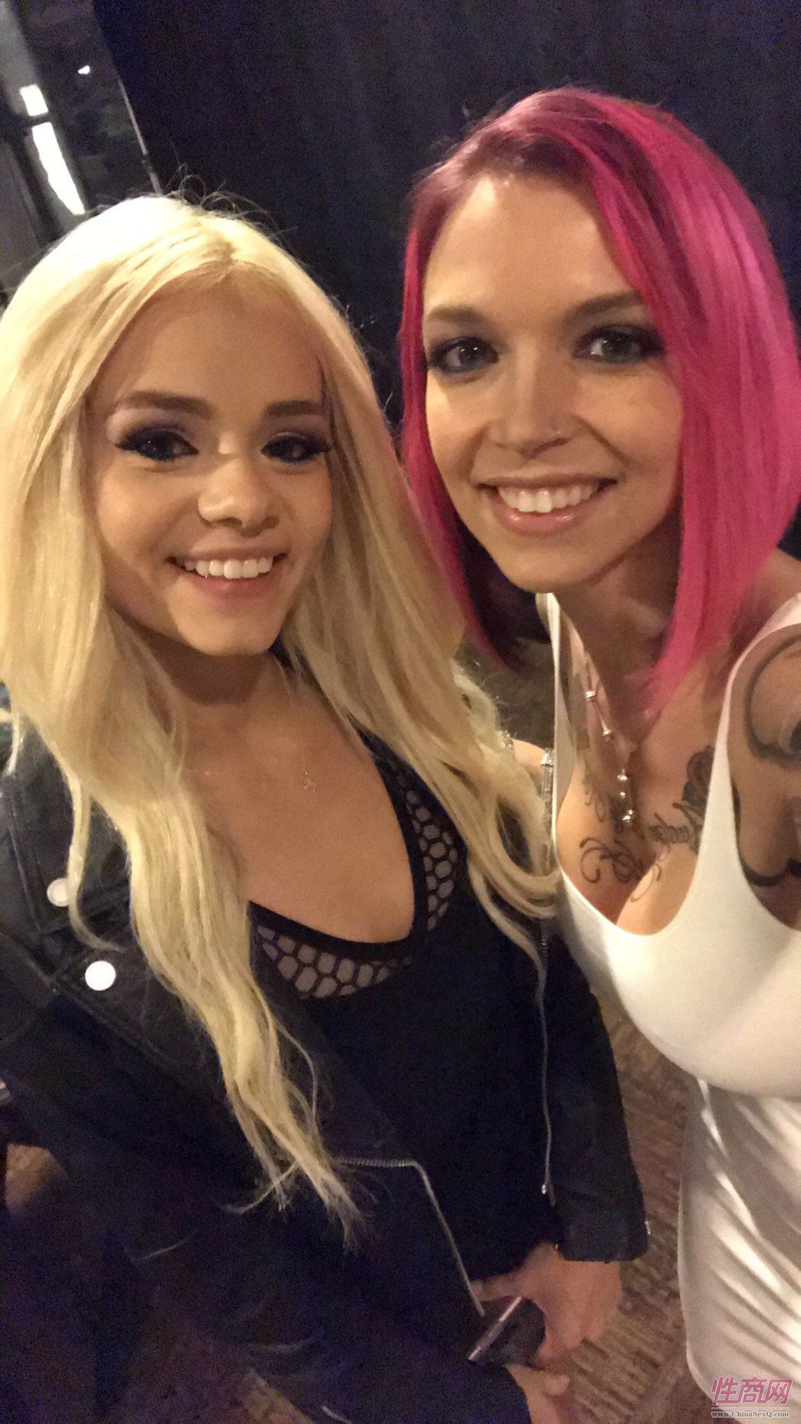 2017美国XBIZ成人娱乐颁奖典礼性感影星图片5