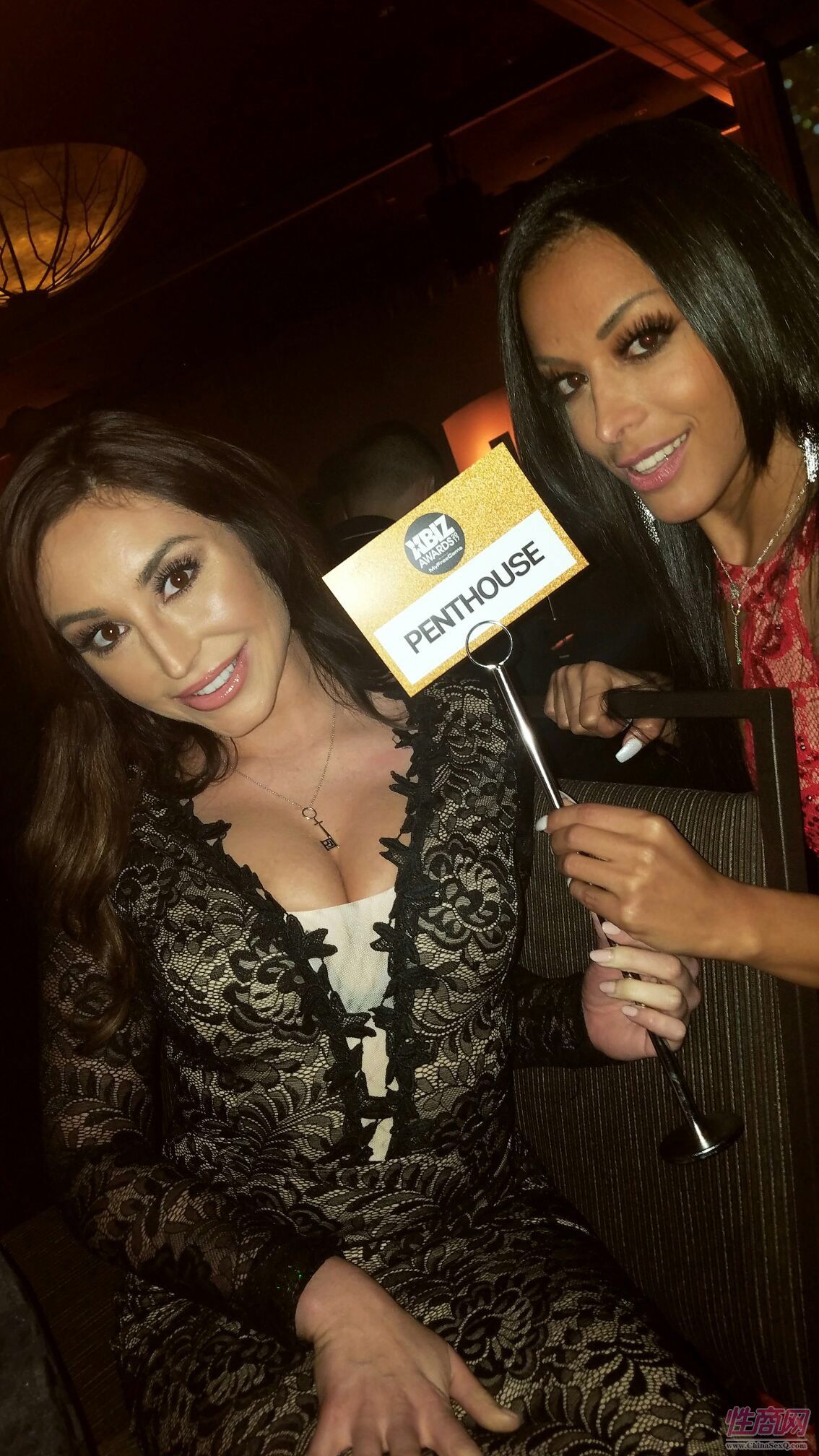 2017美国XBIZ成人娱乐颁奖典礼活动现场2图片28