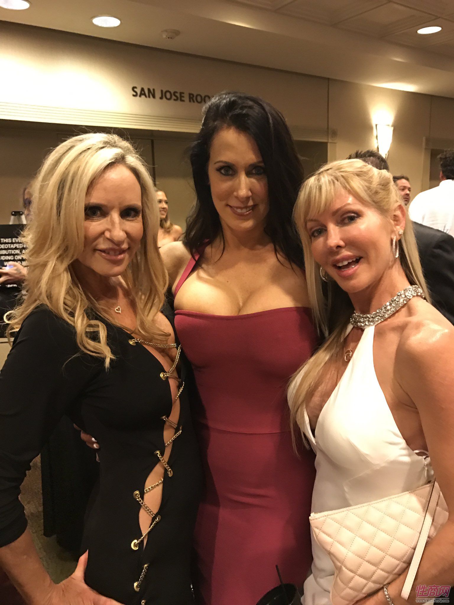 2017美国XBIZ成人娱乐颁奖典礼活动现场2图片38