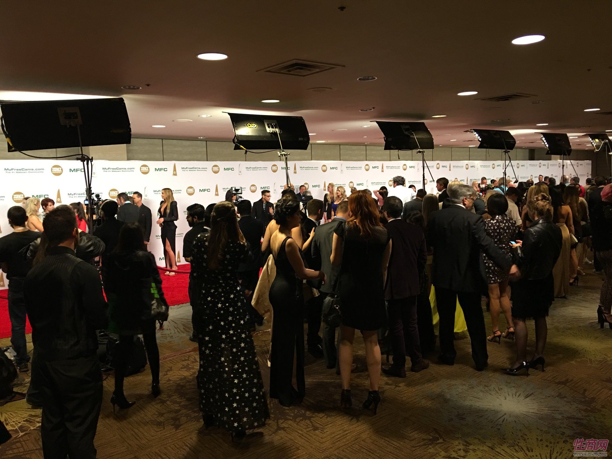 2017美国XBIZ成人娱乐颁奖典礼活动现场2图片2