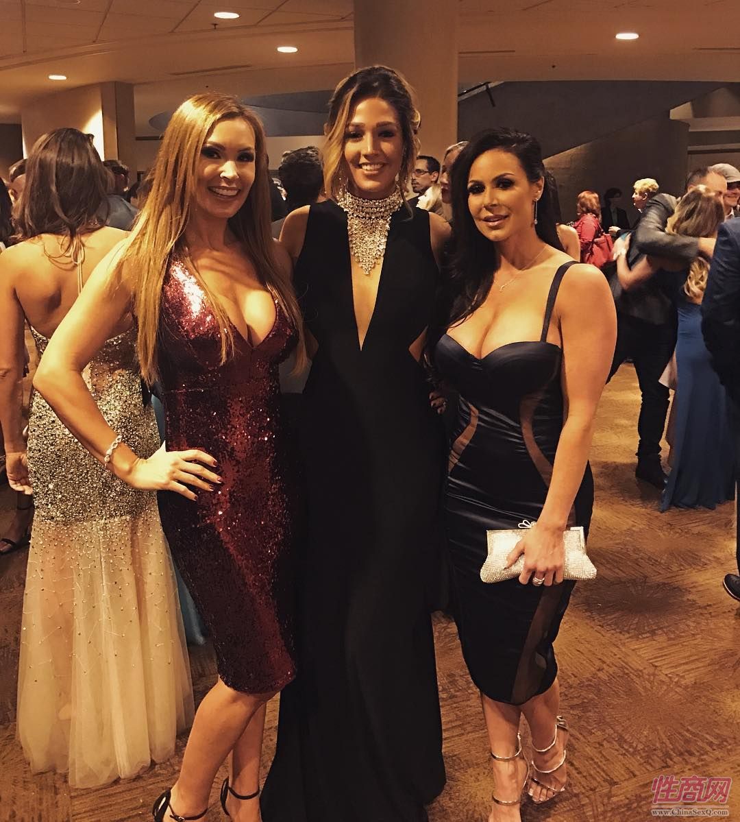 2017美国XBIZ成人娱乐颁奖典礼性感影星图片43