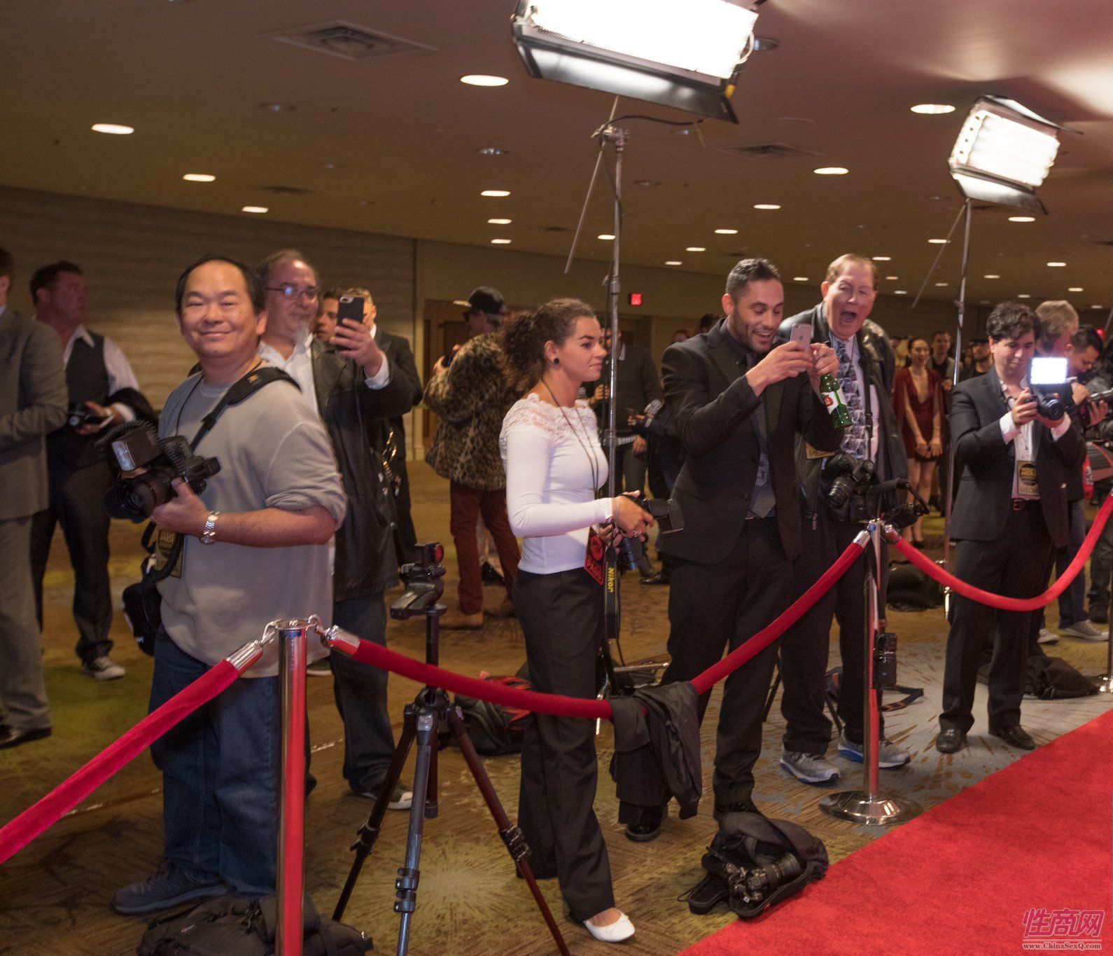 2017美国XBIZ成人娱乐颁奖典礼红毯秀1图片6