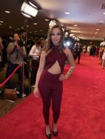 2017����XBIZ�������ְ佱�����̺��3ͼƬ9