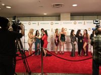 2017����XBIZ�������ְ佱�����̺��3ͼƬ37