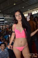 2015ī�������չExposexo�ֳ�����(2)ͼƬ49