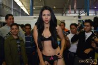 2015ī�������չExposexo�ֳ�����(3)ͼƬ38