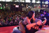 2015ī�������չExposexo�ֳ�����(3)ͼƬ47