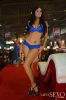 2015ī�������չExposexo�ֳ�����(3)ͼƬ45