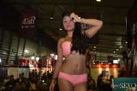 2015ī�������չExposexo�ֳ�����(3)ͼƬ68