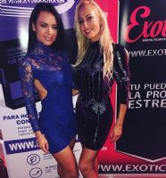 2017�������������ǳ���չ--չ���ֳ�ͼƬ35