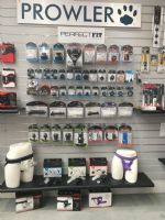 2017�¹���ŵ������չ��Ļ�ڶ���������ͼƬ28