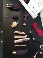 2017�¹���ŵ������չerofame��չ��ƷͼƬ37