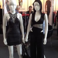 2017�¹���ŵ������չerofame��չ��ƷͼƬ53