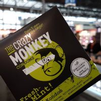 2017�¹���ŵ������չerofame��չ��ƷͼƬ64