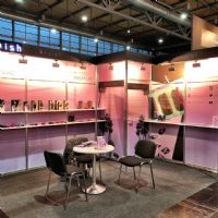 ��ҵ�۽�2017�¹���ŵ������չeroFameͼƬ51