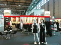 ��ҵ�۽�2017�¹���ŵ������չeroFameͼƬ53