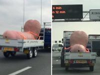 2017�¹���ŵ������չerofame���ʻ���ͼƬ22